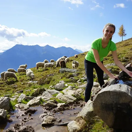 Hotel Glocknerhof 4*