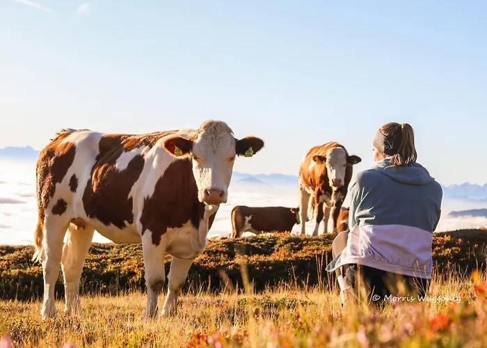 格洛克奈尔霍夫酒店 4*